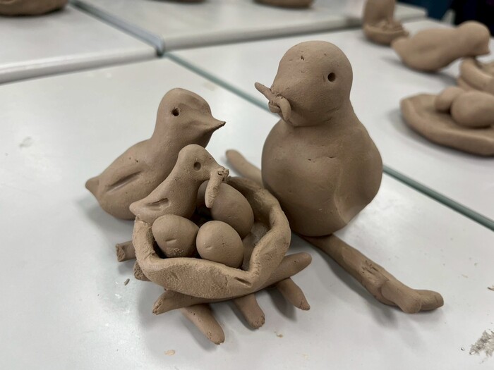 ImgDesc